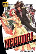Negima! Volume 29