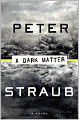 A Dark Matter