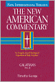 The New American Commentary Volume 30 - Galatians