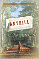 Anthill