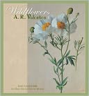 2012 Valentien Wildflowers Wall Calendar