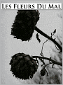 Les Fleurs Du Mal - (Formatted & Optimized for Nook)