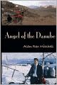 Angel Of The Danube