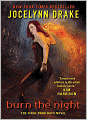 Burn the Night (Dark Days Series #6)