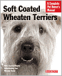Soft Coated Wheaten Terriers
