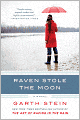 Raven Stole the Moon: A Novel