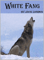 White Fang