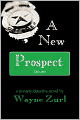 A New Prospect