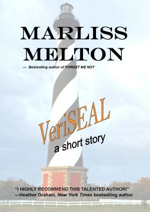 VeriSEAL, a short story
