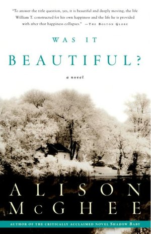 Was It Beautiful?: A Novel