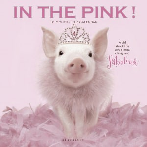 2012 In the Pink! Wall Calendar