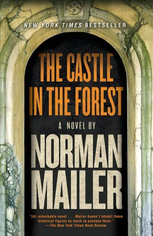 The Castle in the Forest: A Novel