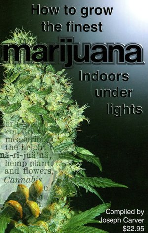 How to Grow the Finest Marijuana Indoors under Lights