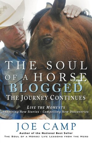 The Soul Of A Horse Blogged - The Journey Continues
