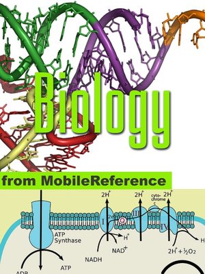 Biology Study Guide: Prokaryotes, Archaea, Eukaryotes, Viruses, Reproduction, Mendelian Genetics, Molecular Biology, Cell Signaling, Human Anatomy, Chemical Review