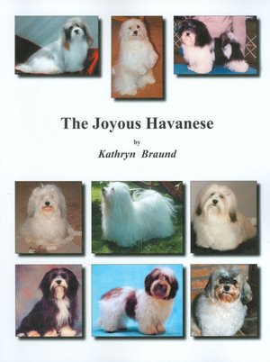 The Joyous Havanese