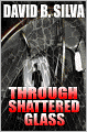 Through Shattered Glass