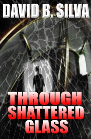 Through Shattered Glass