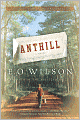 Anthill