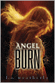Angel Burn (Angel Trilogy Series #1)