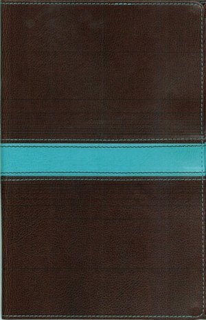 New Men's Devotional Bible, Compact
