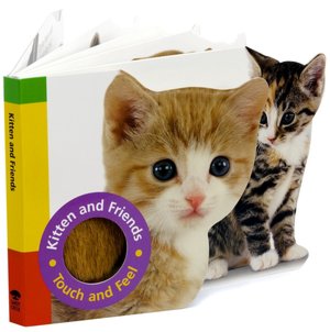 Kitten and Friends