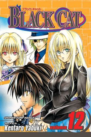 Black Cat, Volume 12