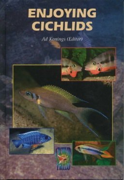 Enjoying Cichlids