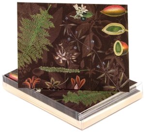 Kew Garden notecards