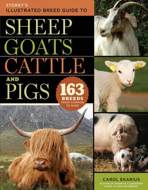 Storey's Illustrated Breed Guide to Sheep, Goats, Cattle and Pigs: 163 Breeds, from Common to Rare