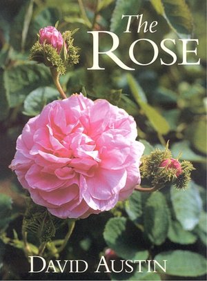 ROSES: FOR YOUR GAOPEN