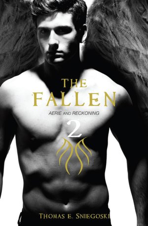 The Fallen Omnibus 2: Aerie / Reckoning