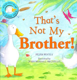 That's Not My Brother!