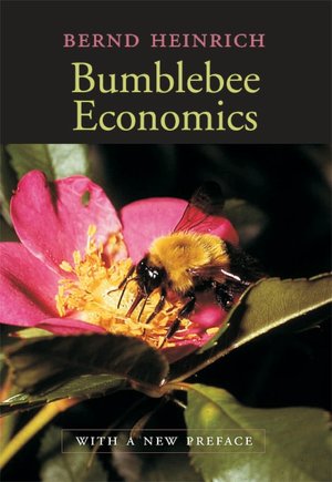 Bumblebee Economics