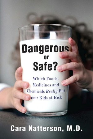 Dangerous or Safe?: A Guidebook for a Generation of Concerned Parents