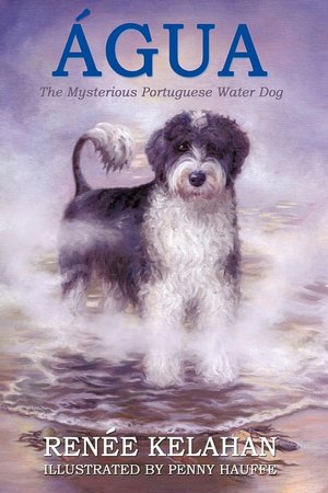 Agua, The Mysterious Portuguese Water Dog