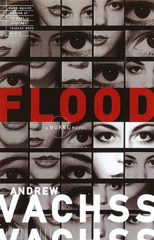 Flood (Burke Series #1)