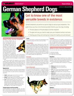 German Shepherd Dogs (Quamut)