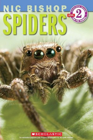 Spiders