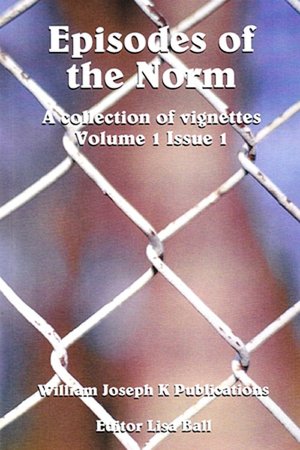 Episodes of the Norm: A Collection of Literary Vignettes