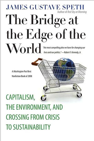 The Bridge at the Edge of the World: Capitalism, the Environment, and Crossing from Crisis to Sustainability