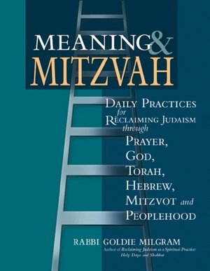 Meaning and Mitzvah: Reclaiming Judaism as a Spiritual Practice