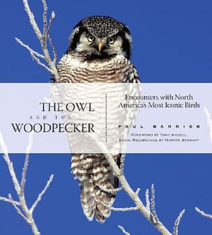 The Owl and the Woodpecker: Encounters with North America's Most Iconic Birds
