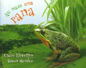 Así nace una rana