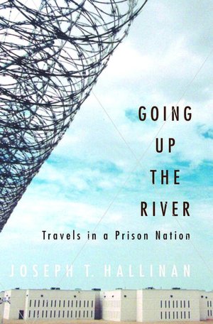 Going up the River: Travels in a Prison Nation
