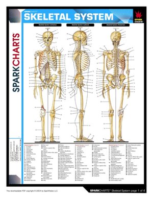Skeletal System (SparkCharts)