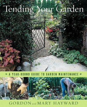 Tending Your Garden: A Year-Round Guide to Garden Maintenance