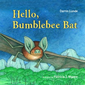 Hello, Bumblebee Bat