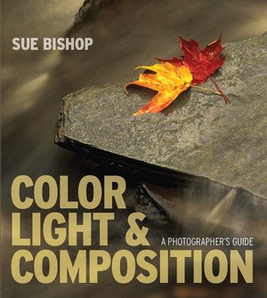 Color, Light & Composition: A Photographer's Guide