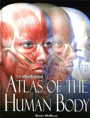 The Illustrated Atlas of the Human Body